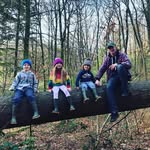 Timothy Peter Wigley - @wigley_tp - Instagram