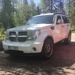 Peter Wik - @peterwik62 - Instagram