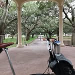 Peter Wilborn - @brompton2017 - Instagram