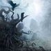 Peter Wilburn - Facebook