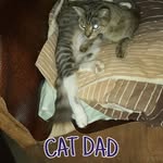 Peter Wilcox-Pisz - @wilcoxpisz - Instagram