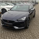 Peter Wildenberg - @peterwildenberg - Instagram