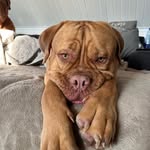 Peter Wiles - @peter267300 - Instagram