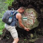 Peter Wilk - @wilkpeter - Instagram