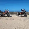 Peter.Wille28 - @peter.wille28 - TikTok