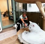 Peter Willmann  - Facebook