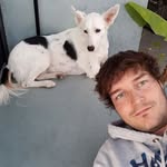 peter Willmann - @peter.willmann86 - Instagram