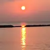 PeterWilloughby - @peterwilloughbyuk - TikTok