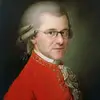 peterawilmes - @peterawilmes - TikTok