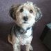 Peter Winch - Facebook