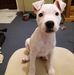 Peter Winchester - Facebook