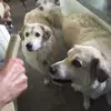 Peter Winder - @peter.winder2 - TikTok