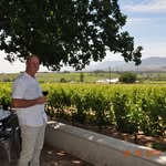 Peter Gouws - @peterwinetourscape - Instagram