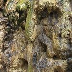 Peter Winters - @geimhleadh - Instagram