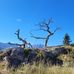 Peter Wieler - Facebook