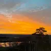 localwiseman_peter - @localwiseman_peter - TikTok