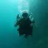 peter - @peterwiseman0 - TikTok