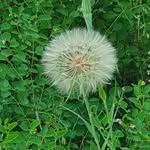 HaPe - @wlochhanspeter - Instagram
