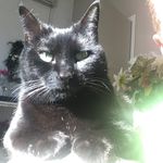 Peter R. Wojcik - @phantomsrus22 - Instagram
