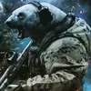 Eisbär - @peterwolter0 - TikTok