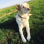 Peter Worthmann - @peter.worthmann - Instagram