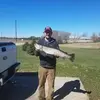 Peter Wrenn - @peter.wrenn3 - TikTok