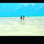 Peter Yang - @peteryang6187 - Instagram