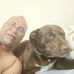 Peter Ibarra - Facebook