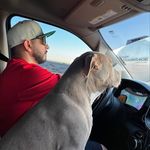 Peter J Ybarra - @petrgunnzz - Instagram