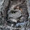 peteryeager502 - @peteryeager502 - TikTok