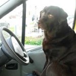 Peter Yeomans - @peteryeomans - Instagram