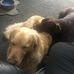 Peter Yeomans - Facebook