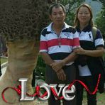 Peter Yu - Facebook
