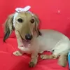 Peter Yu - @2180528289 - TikTok