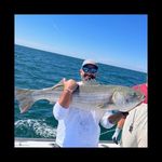 Peter Zarcone - @freesailless40.7 - Instagram