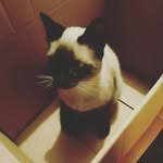 Peter Zavaleta - @peterzavaleta.f - Instagram