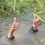 Peter Zielinski - @zielinski7000 - Instagram