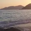Peter Zielinski - @peter.zielinski6 - TikTok