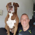Peter Zwart - @peterzwart1 - Instagram