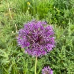 Peter Zwick - @kpz_1942 - Instagram