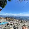 Peter_Zwick - @peterzwick - TikTok