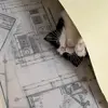petra_arch - @petraarch - TikTok