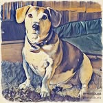 Petra B. - @petra.behrends - Instagram