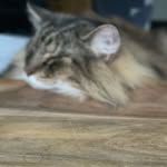 Petra Behrend - @peti.b0815 - Instagram
