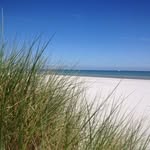 Petra Behrend - @behrend707 - Instagram