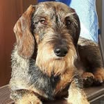 Petra Behrends - @petra.behrends.311 - Instagram