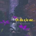 petra carrillo - @petracarrillo39 - Instagram