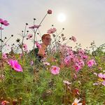 Petra Carter Riemer - @petracarterriemer - Instagram