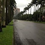Petra  Chang - @petrachang77 - Instagram