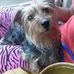 Petra Clay - Facebook